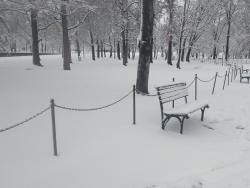 Foto 2 de 2