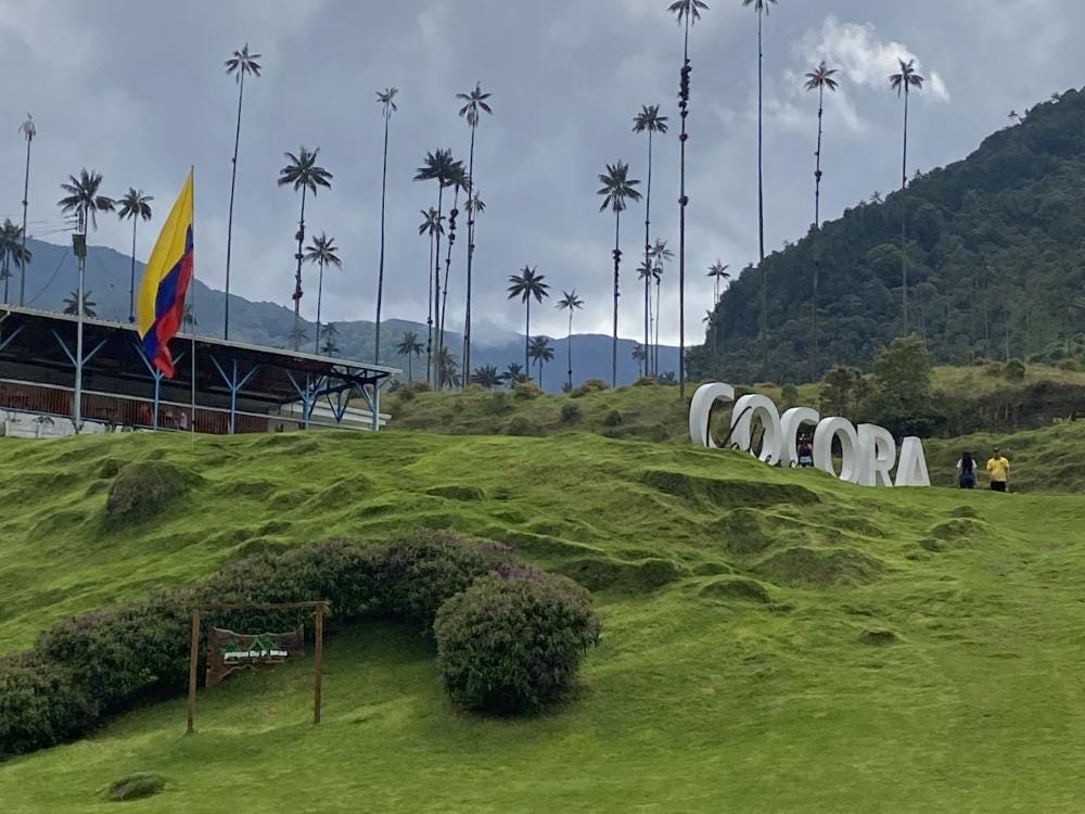 Foto 1 de 2