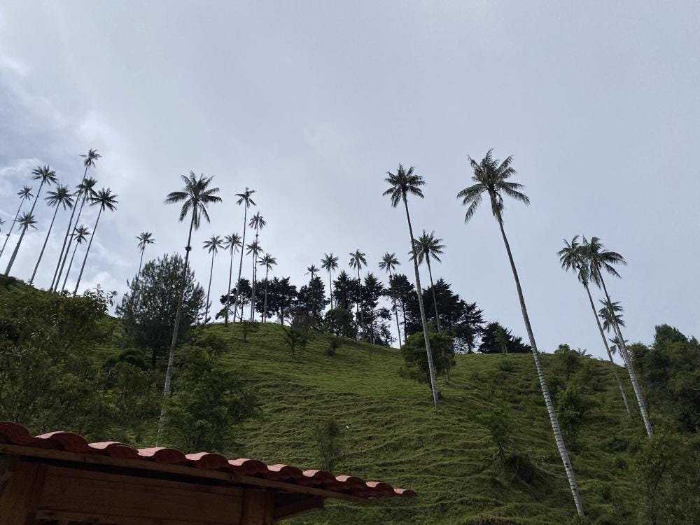 Foto 2 de 2