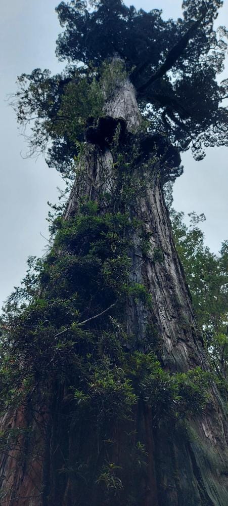 Foto 2 de 7