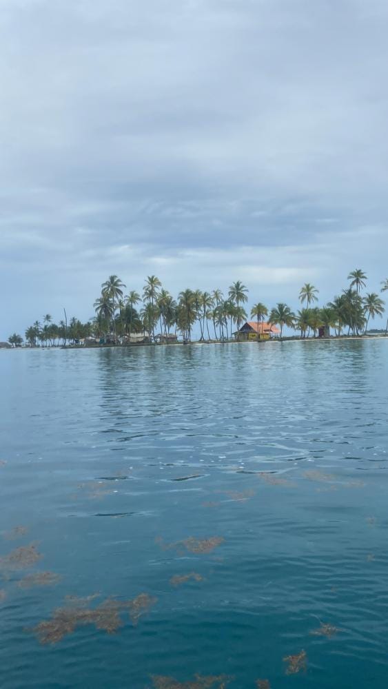 Photo 3 from 4