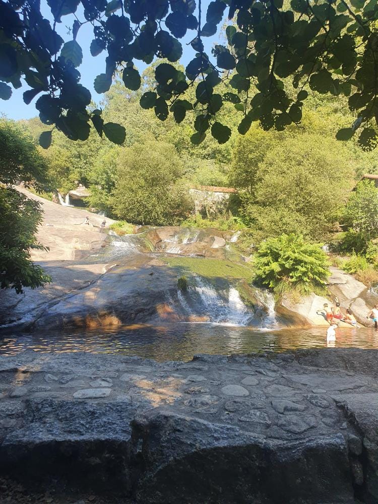 Foto 1 de 5