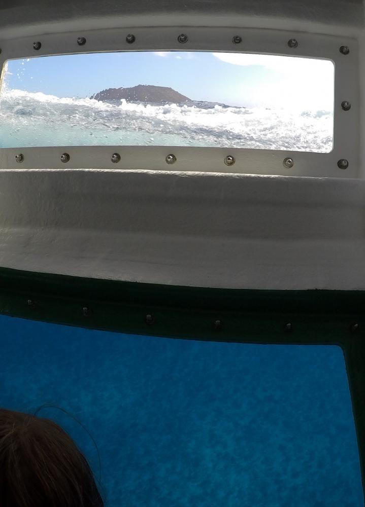 Foto 6 de 6