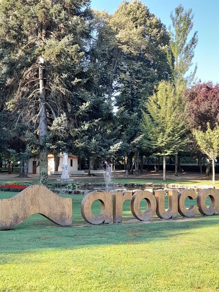 Foto 1 de 5
