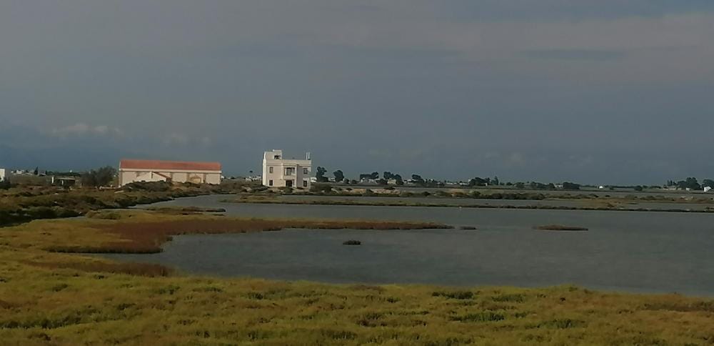 Foto 3 de 7