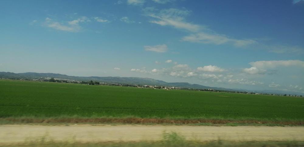 Foto 7 de 7