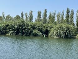 Photo {1} sur {2}