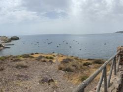 Foto 1 de 1