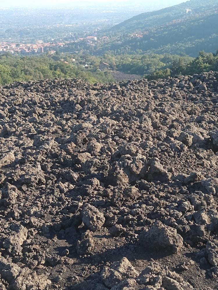 Foto 6 de 6