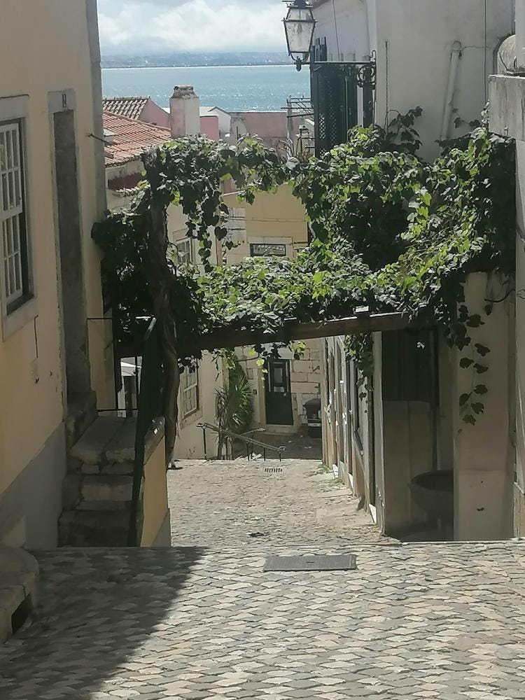 Foto 2 de 4