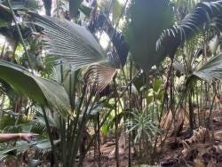 Foto 3 de 3
