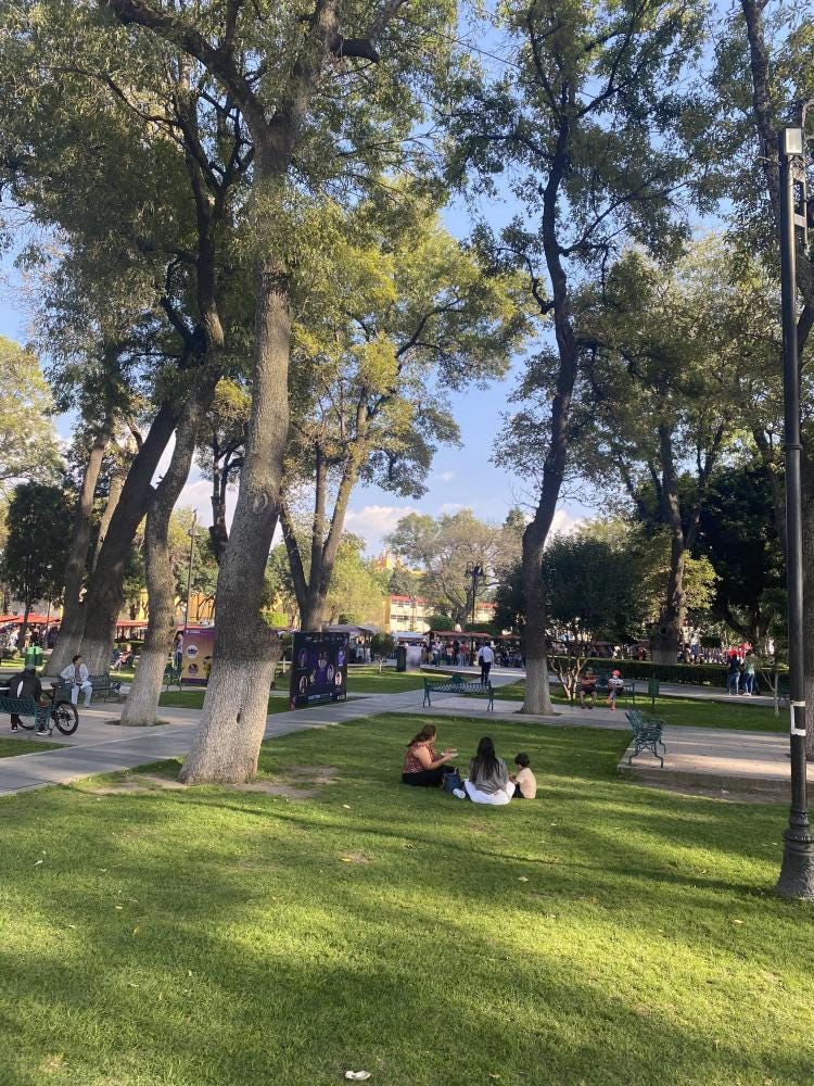 Foto 1 de 1