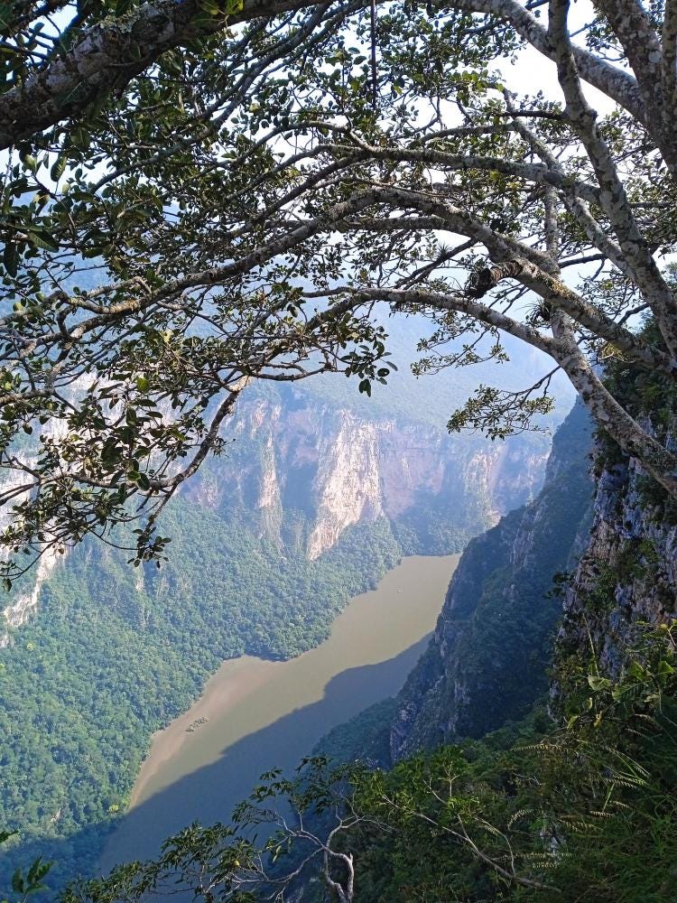 Foto 2 de 5