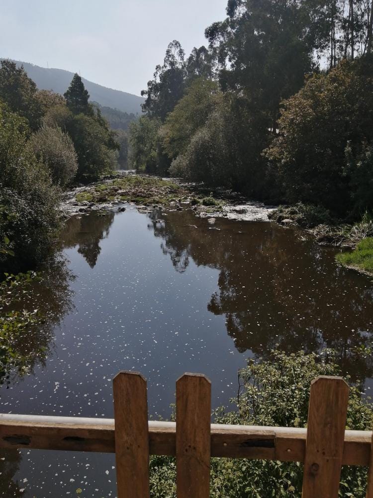 Foto 2 de 3