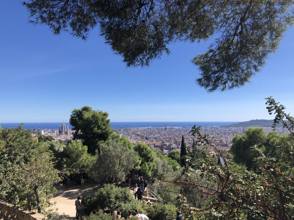 Foto 2 di 3