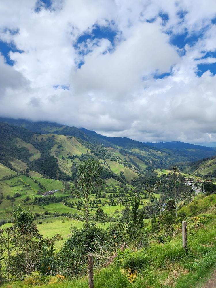 Foto 2 de 5