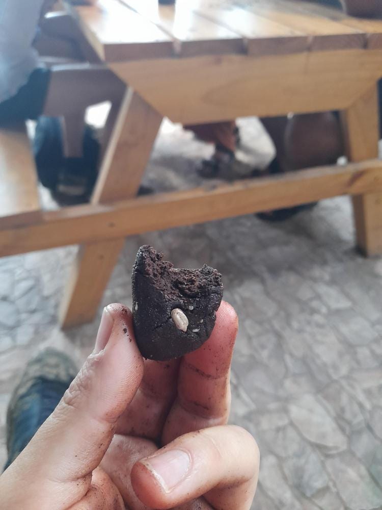 Foto 4 de 5
