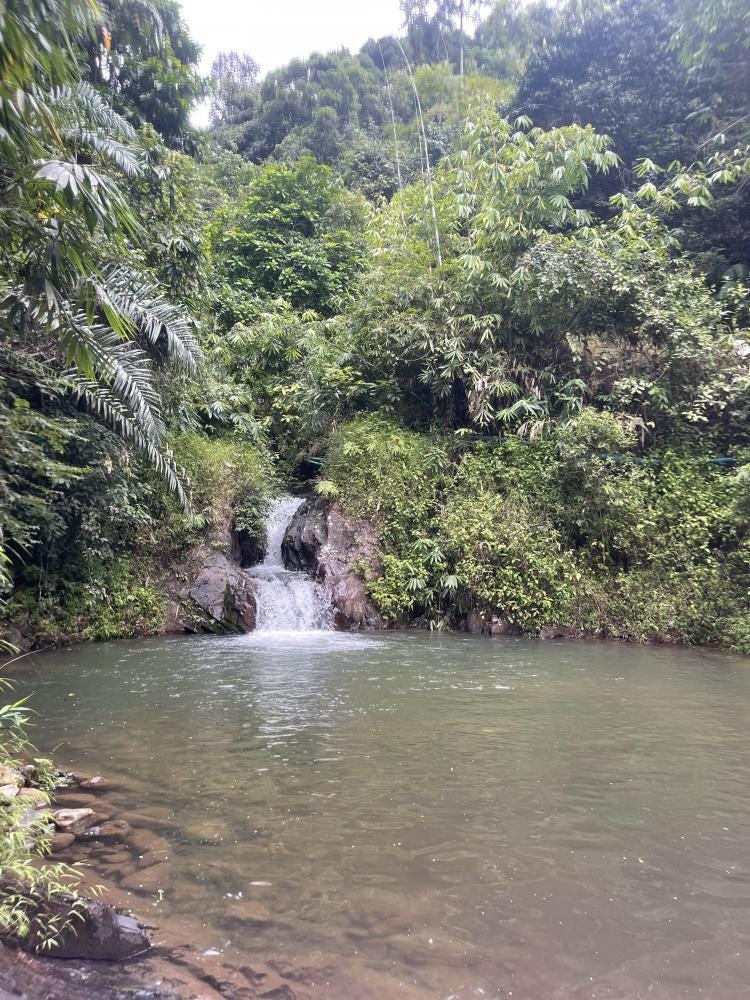 Foto 2 de 3