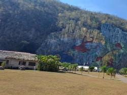 Foto 5 de 5