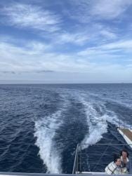Photo {1} sur {2}