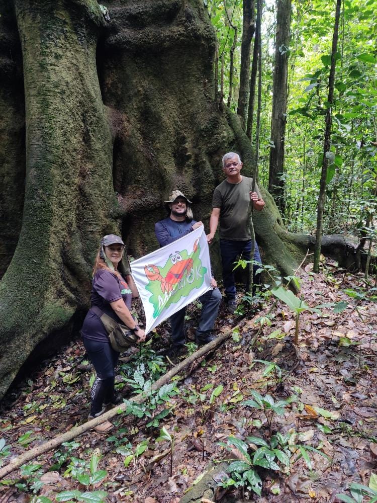 Foto 2 de 3