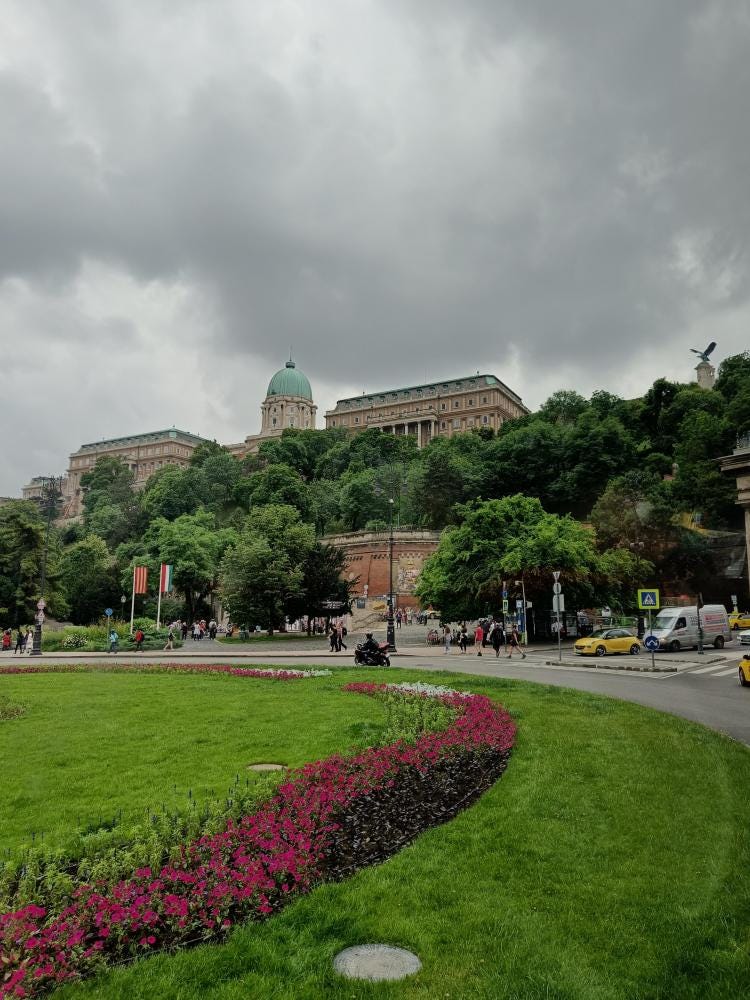 Foto 5 de 6