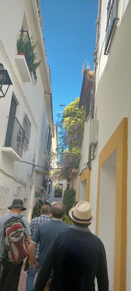 Foto 1 di 3