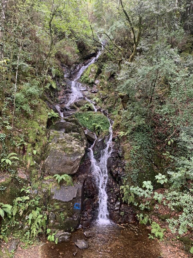Foto 1 de 3