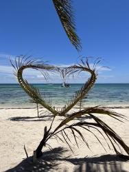 Photo {1} sur {2}