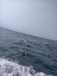 Foto {1} di {2}