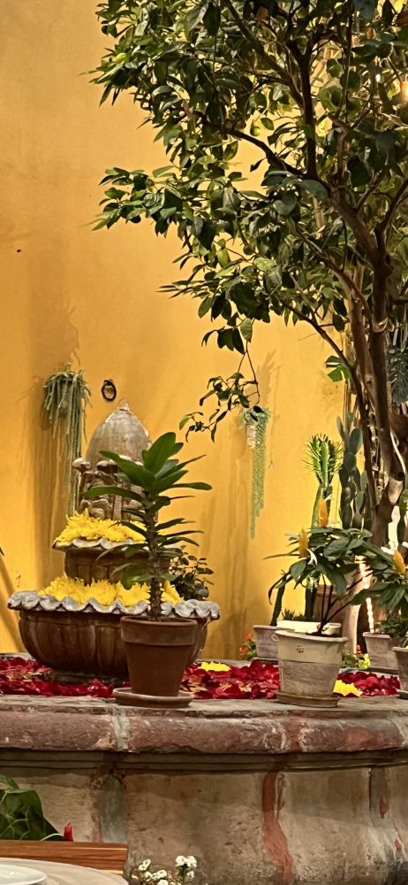 Foto 2 de 4