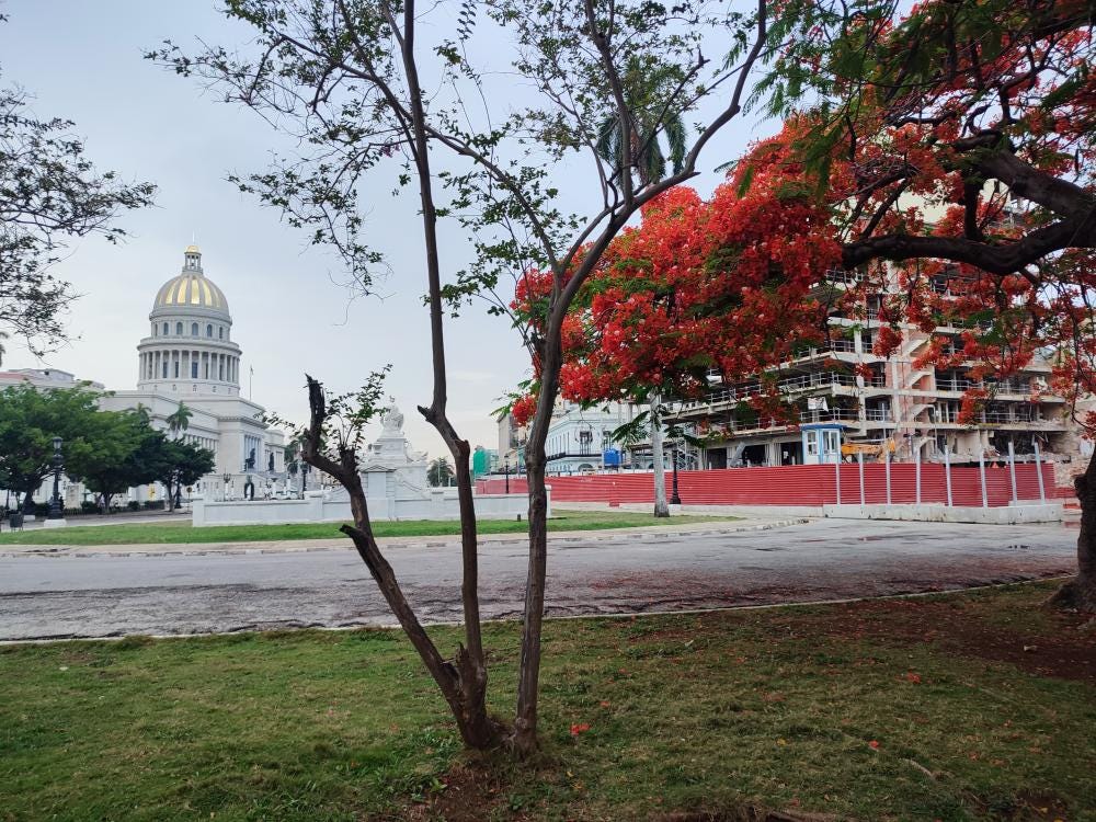 Foto 1 de 4