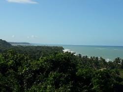 Foto 2 de 4