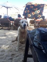 Foto 4 de 4