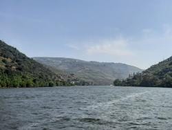 Foto 3 de 10