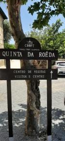 Foto 7 de 10