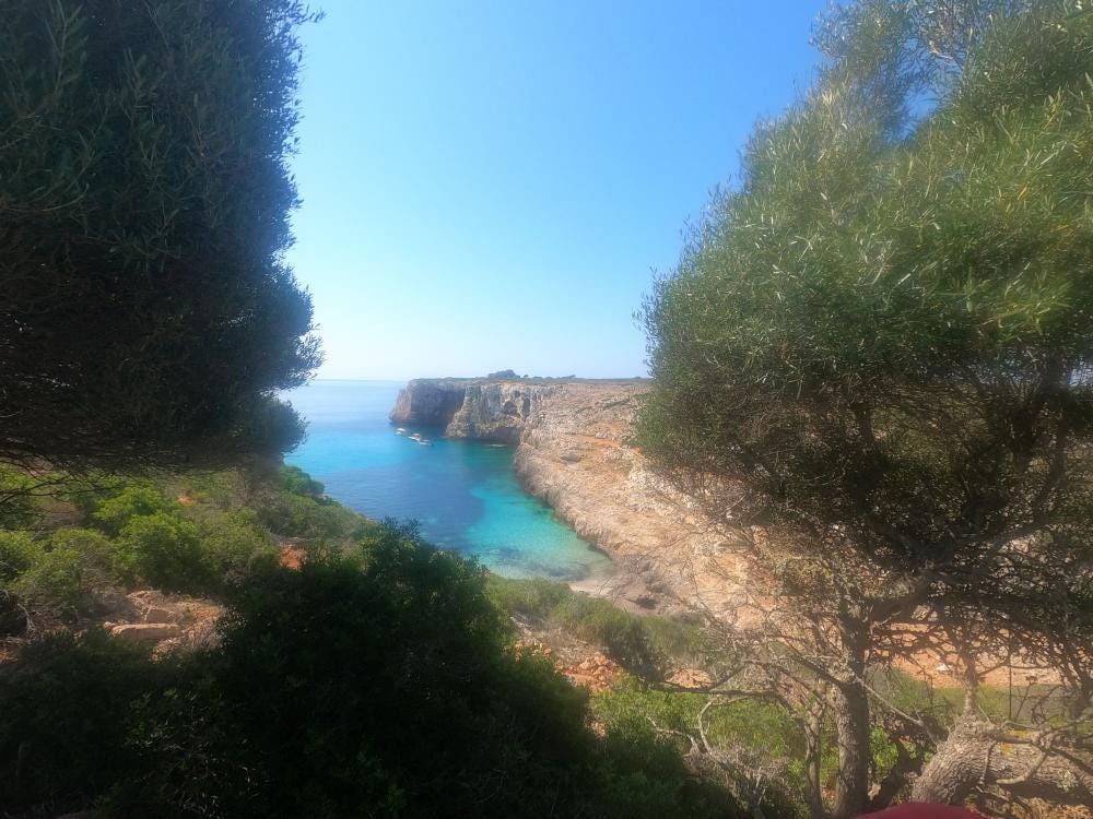 Photo 1 sur 3