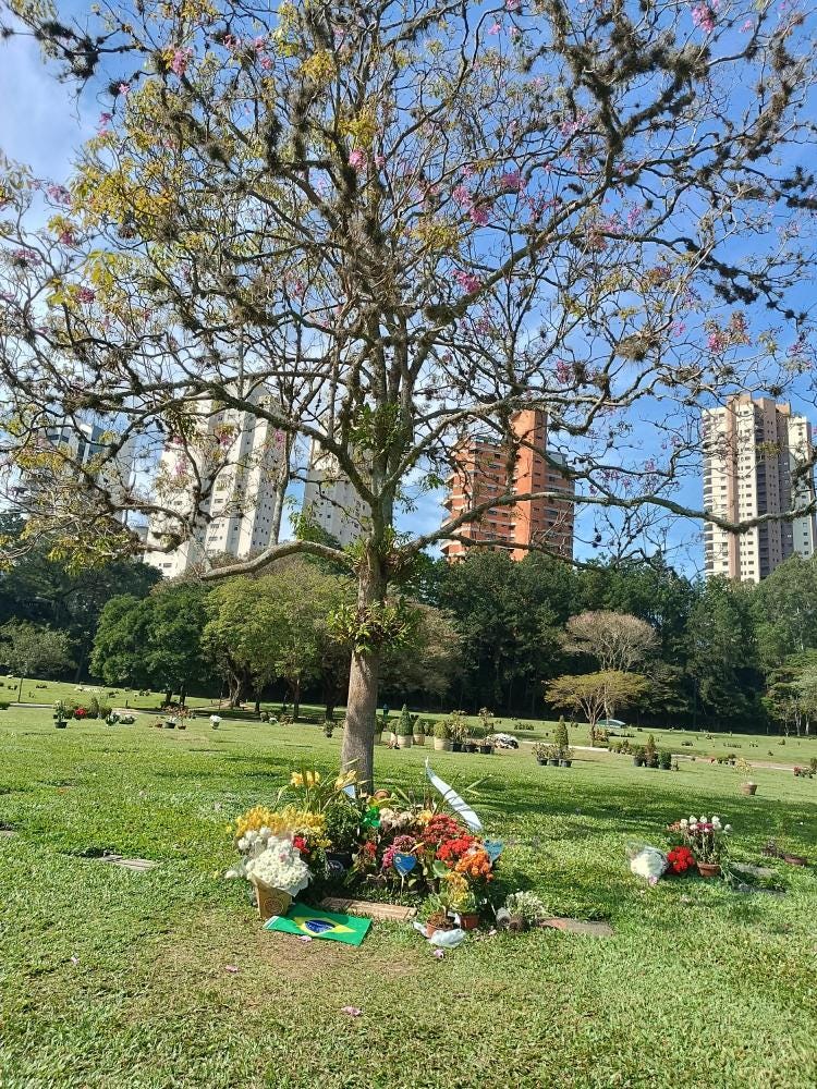 Foto 3 de 6