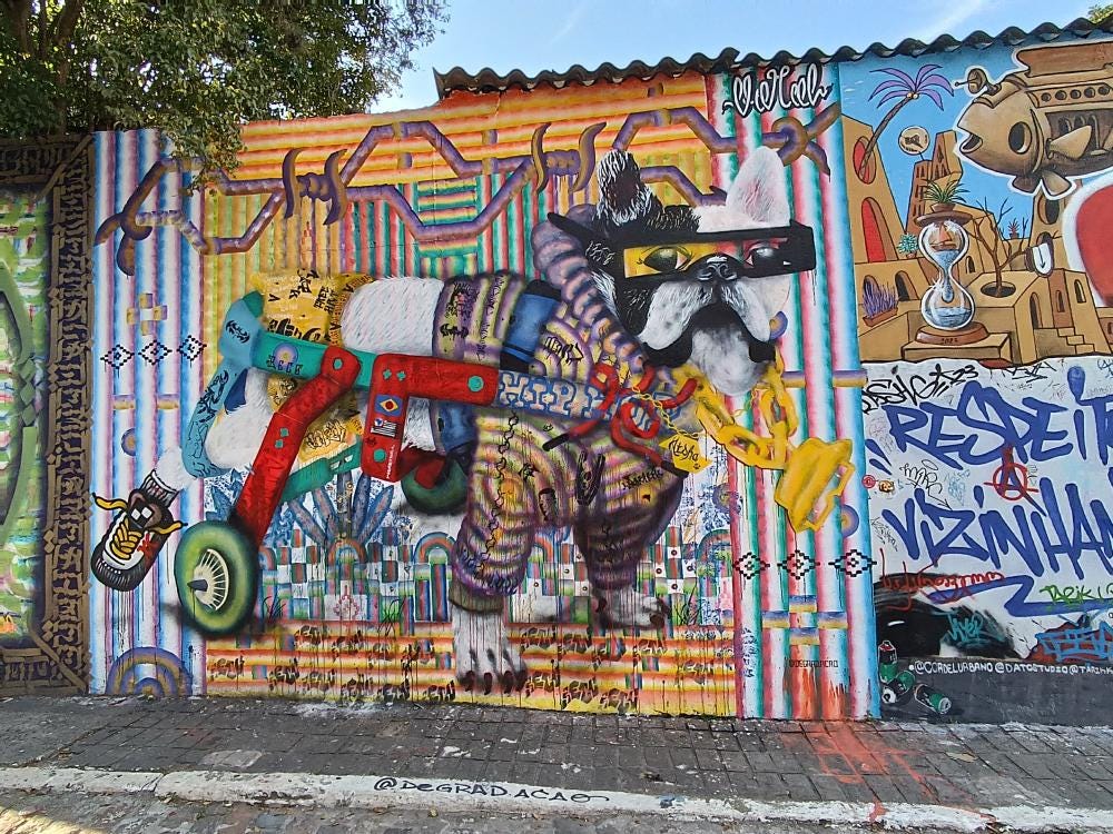 Foto 6 de 6