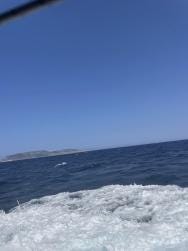 Foto {1} di {2}