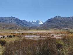 Foto 5 de 5