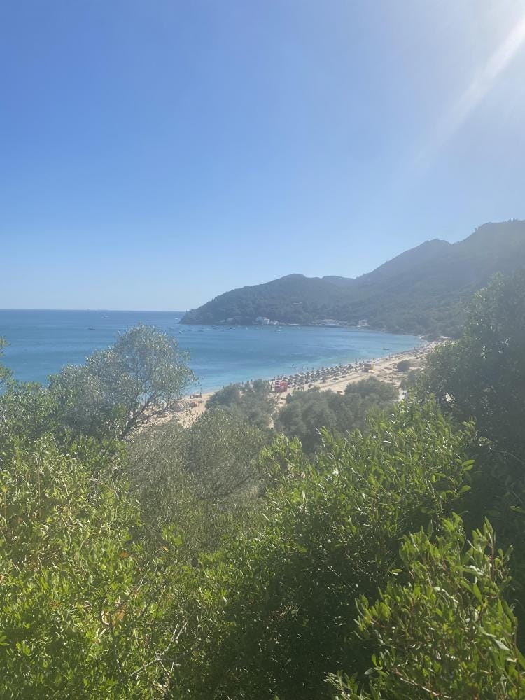 Foto 1 di 1