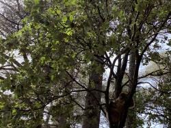 Foto 2 de 2