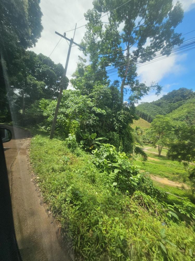 Foto 2 de 3