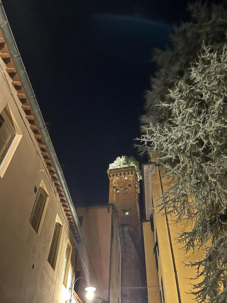 Foto 1 di 3