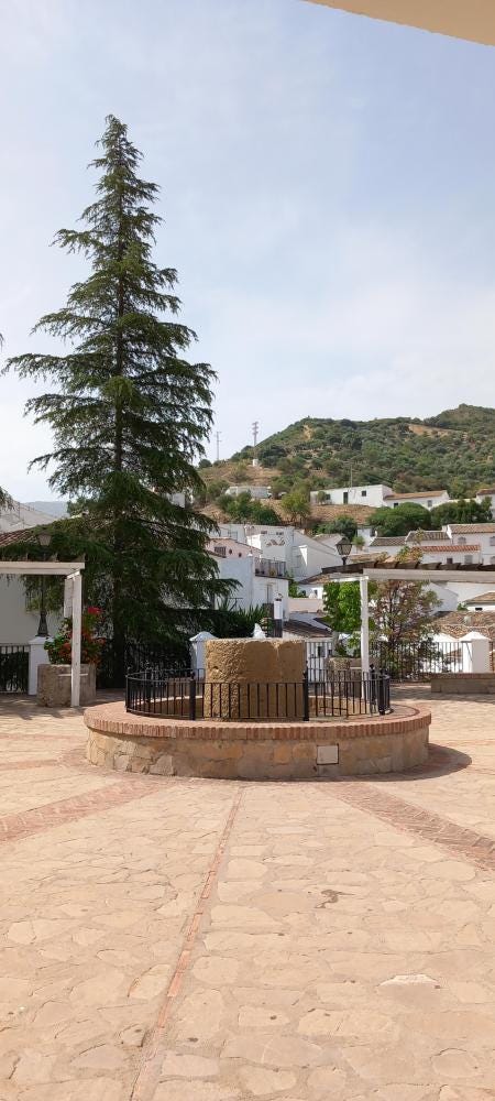 Foto 3 de 10