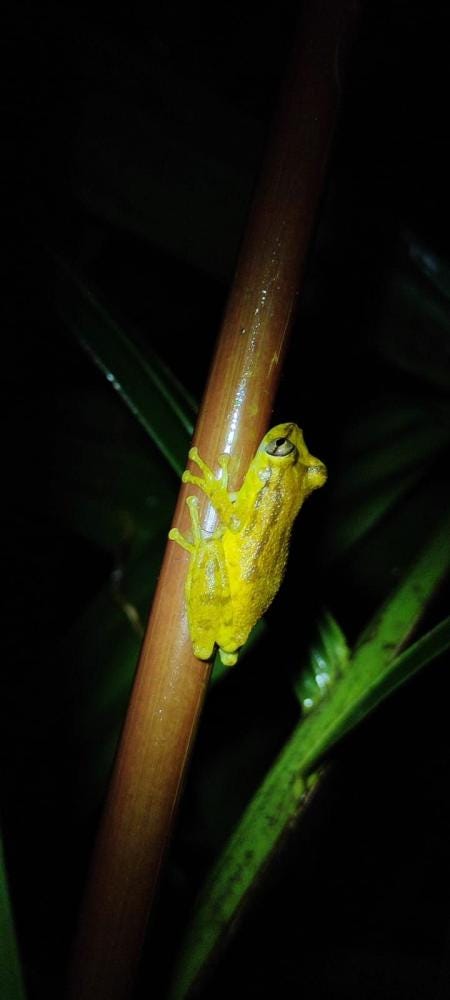 Foto 2 de 3