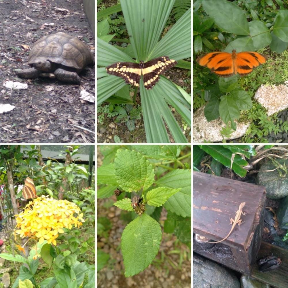 Foto 2 de 3