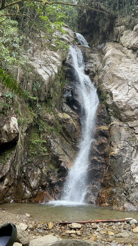 Foto 1 de 1
