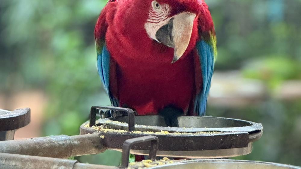 Foto 2 de 3